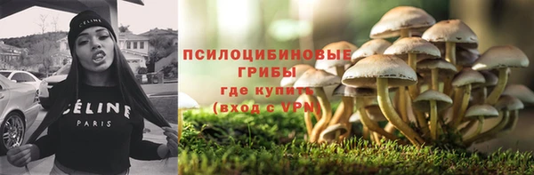 сатива Зеленокумск