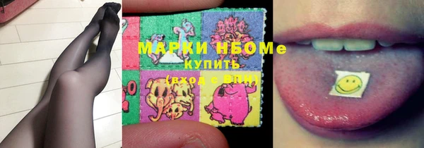 сатива Зеленокумск