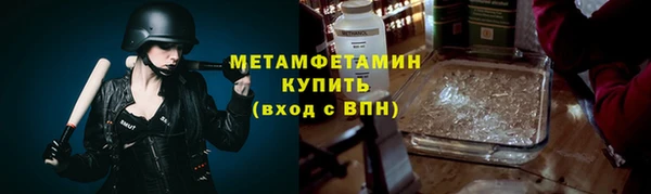 сатива Зеленокумск