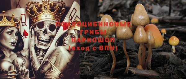 сатива Зеленокумск