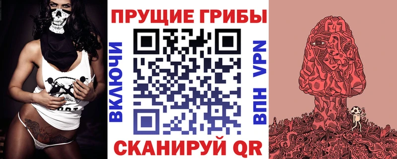 Купить где  Цоци-Юрт  Галлюциногенные грибы GOLDEN TEACHER 